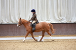 SBM_001036