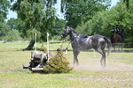 WJ7_3850