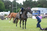 SBM_12959