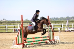 SBM_000329