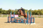 SBM_000522