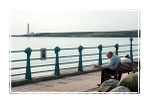 Sunday Read at the Seafront