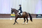 SBM_007060