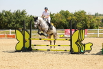SBM_000358