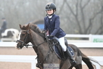Cls 2 BlueChip Pony Novice Qualifier portfolio