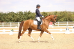SBM_013791