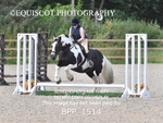 DERBY CLASS 3 - 40CM portfolio