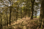 0705 Hope Valley Nature Reserve