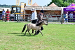 SBM_03612