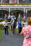 270626-Race 3-Naanas Shadow-4353