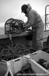 HCF017: Working the pots