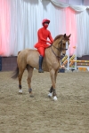 SBM_004213