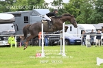 BPP_9036