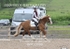 BPP_0099