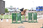Cls 6 Foxhunter and 1.20m Open portfolio