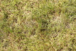SBM_05600