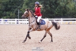 Cls 35 Pony British Novice & 80cm Open portfolio