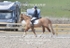 BPP_9986