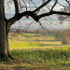 Wimpole 23Nov20 - 9