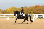 SBM_009385