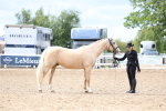 SBM_04449