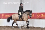 BPP_0593