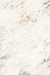 250420A-132446-00907