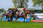 Race 3 2.40pm Sky Bet Thirsk Hunt Cup Handicap portfolio
