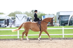 SBM_03290