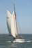 170526 IVY GREEN EB6 1Y3A0977