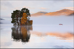 Loch Tay Trees  Boat