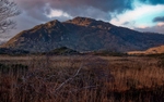 Purple Mountain, Killarney