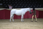 SBM_05028