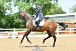 Cls 40,41+39 Music Inter, FEI Inter I + II portfolio