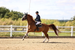 SBM_001422