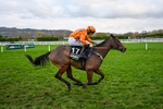 161125-Race 5-Welsh Charger-6404