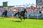 120725-Race 4-Al Qareem-0338