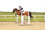 SBM_001761