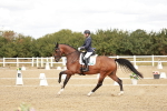SBM_009570