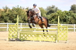 SBM_008039