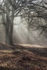 Winter at Wenchford