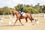 SBM_009347
