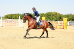 SBM_001427