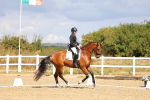 SBM_004087