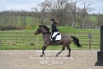 BPP_1015