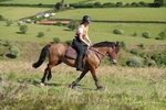 SPXX0942