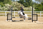 SBM_007284