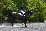 Lyford Stud - Dressage  31-05-25 portfolio