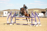 SBM_007661