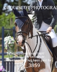 BPP_3859
